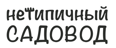 На главную
