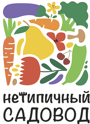 На главную